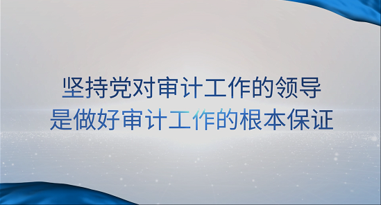 [专家谈审计法]王伟：坚持党对审计工作的领导是做好审计工作的根本保证 