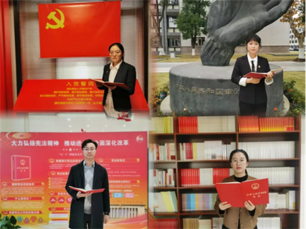 欧博体育网址审计机关开展宪法宣传周主题宣传活动（二）(图2)