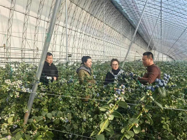 欧博体育入口审计现场 筑牢乡村振兴“民生网”(图3)