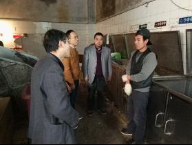 上海黄浦:审计关注城市生活垃圾分类处置专项