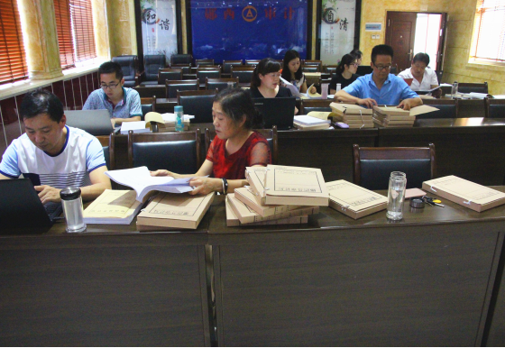 湖北省郧西县审计局对中介机构参与审计项目质