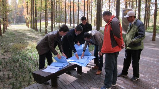 江苏东台:审计助力打造国家级森林公园