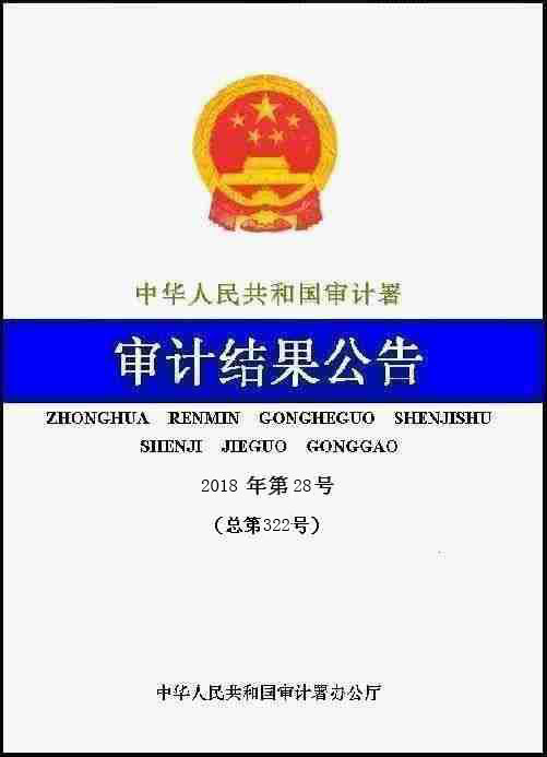 2018年第28号公告:中国轻工集团有限公司201