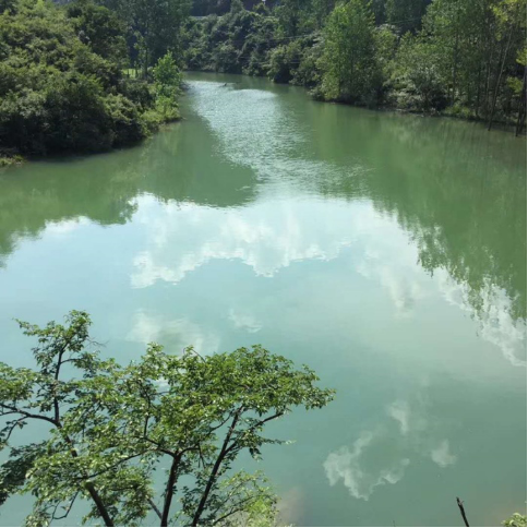 绿水青山