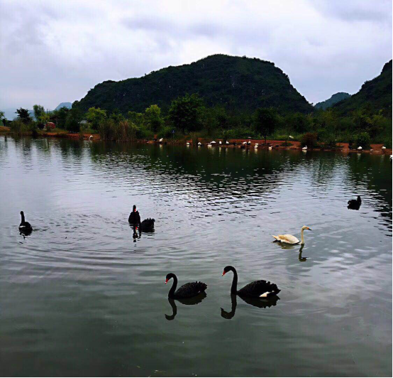 绿水青山