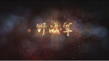 第二集野战军