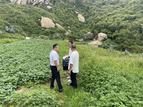 福建省惠农财政补贴资金审计_福建农机补贴系统_惠农一卡通发放情况审计